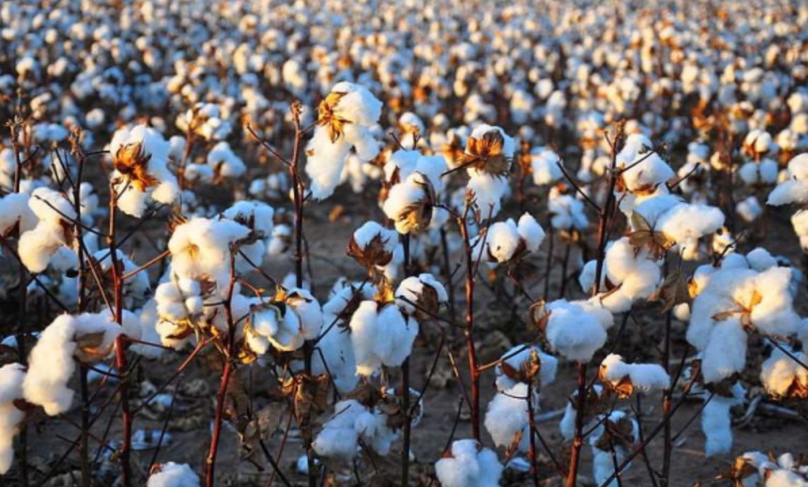 A Guide to Shopping Sustainably