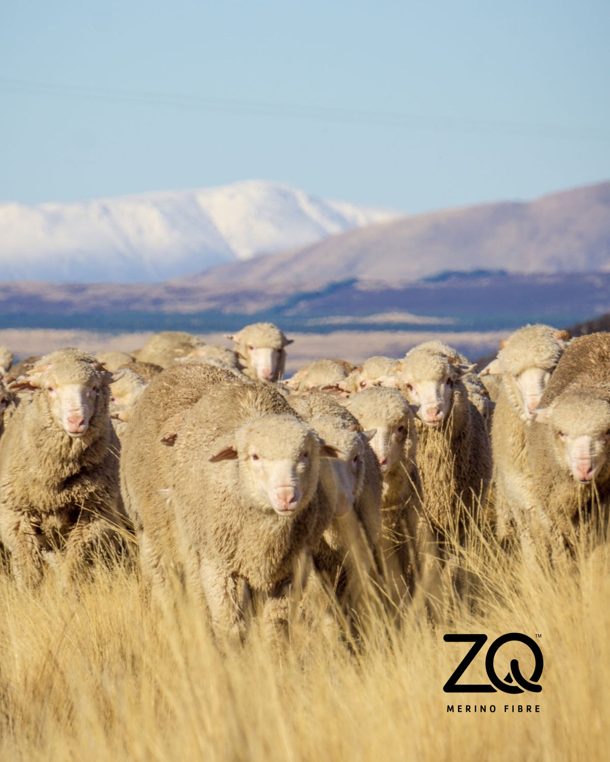 ZQ Fine Merino Wool